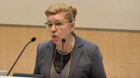Elena Mizulina'nın beş ana parlamento girişimi