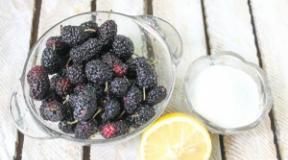 Cooking from mulberries What can be cooked from black mulberries
